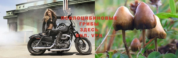 ALPHA PVP Новодвинск