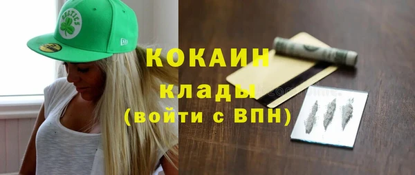 шишки Новокубанск