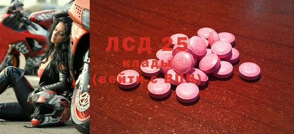хмурый Новозыбков