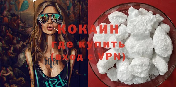 хмурый Новозыбков