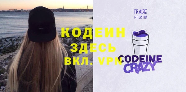 хмурый Новозыбков