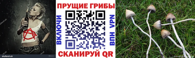 omg зеркало  купить закладку  Тейково  Псилоцибиновые грибы Magic Shrooms 